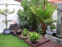 Manufacturers Exporters and Wholesale Suppliers of Terrace Garden New Delhi Delhi